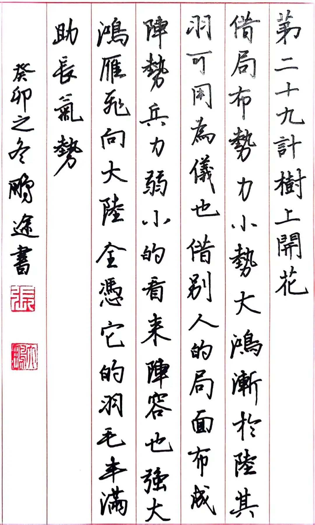 树上开花了_树上开花_开花树上面拍的照片怎么说