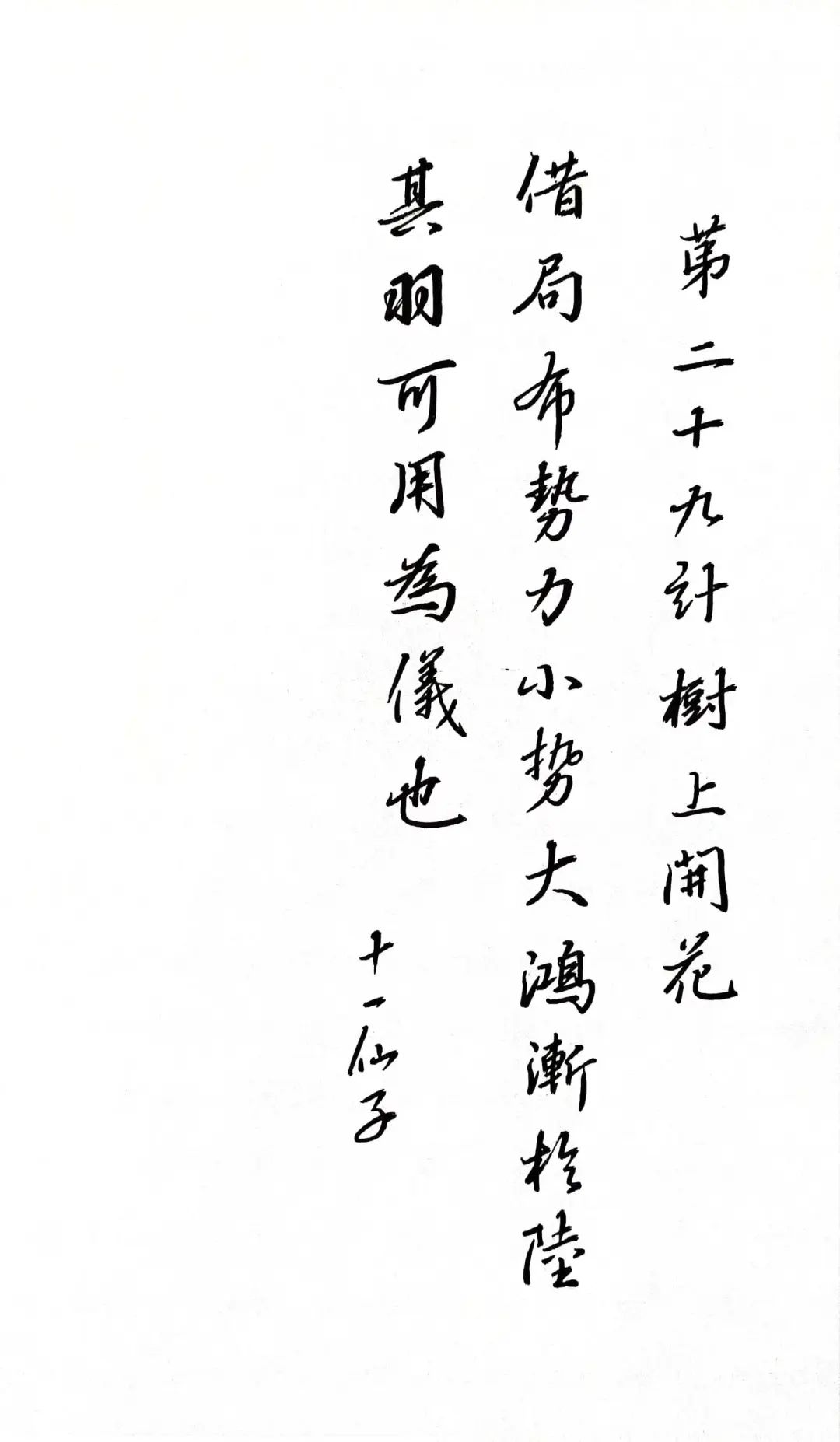 开花树上面拍的照片怎么说_树上开花了_树上开花