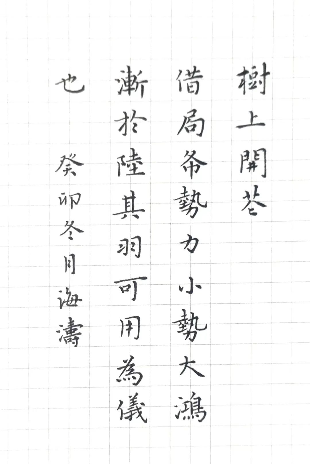 树上开花_树上开花了_开花树上面拍的照片怎么说