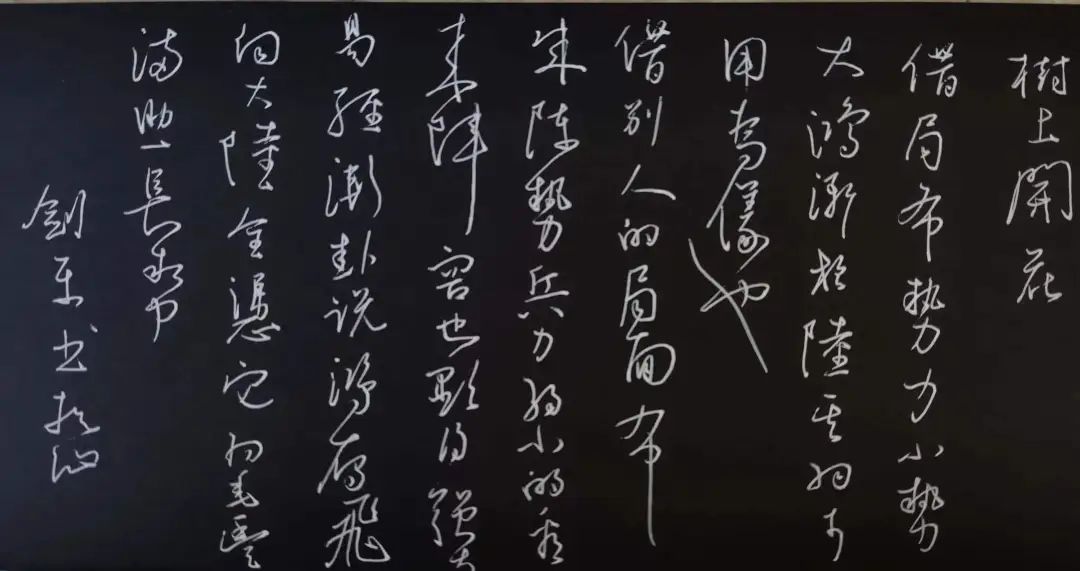 树上开花了_开花树上面拍的照片怎么说_树上开花