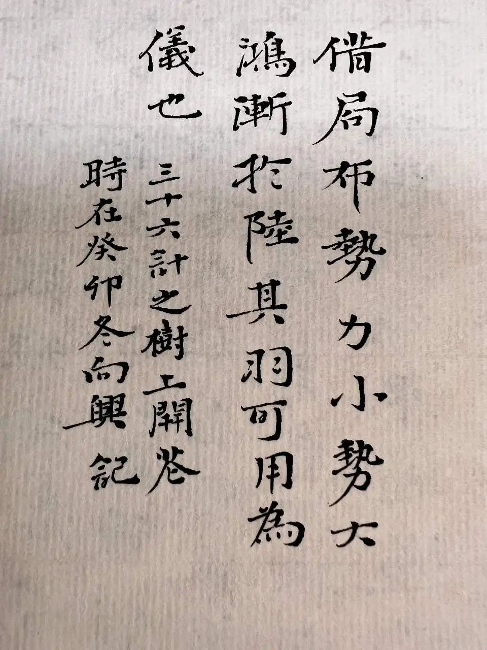 树上开花_开花树上面拍的照片怎么说_树上开花了