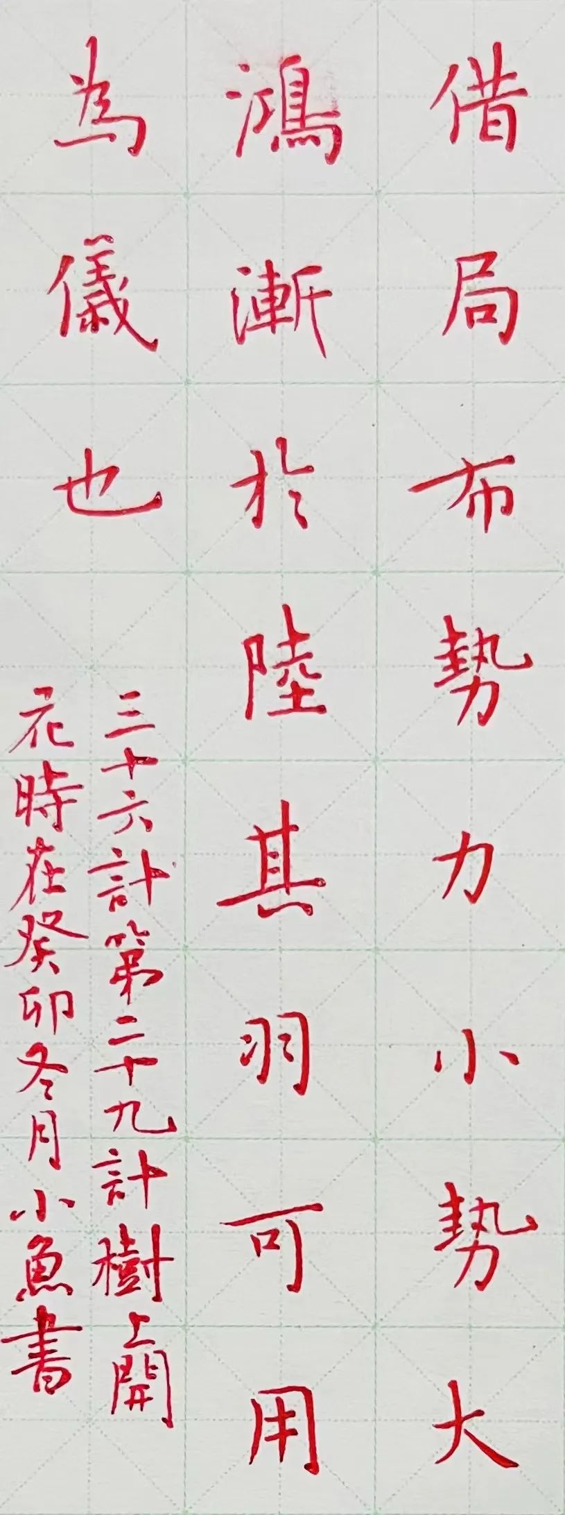 开花树上面拍的照片怎么说_树上开花了_树上开花