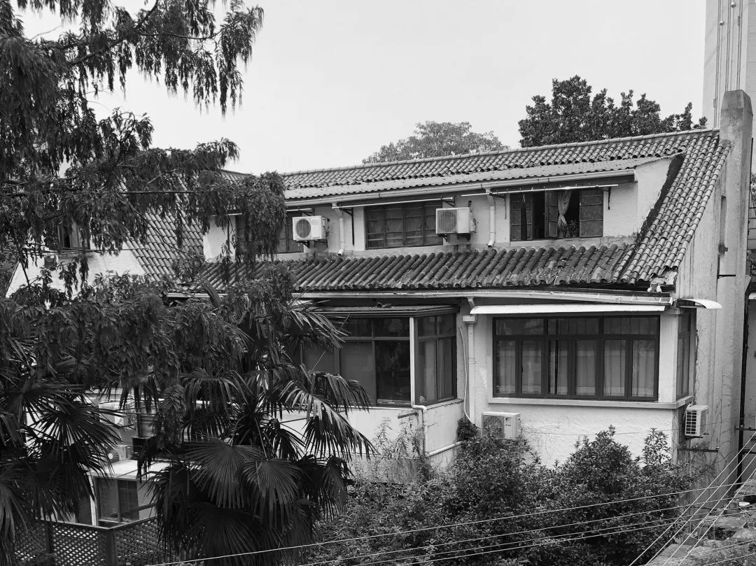法租界_租界法案1_租界法国陆军
