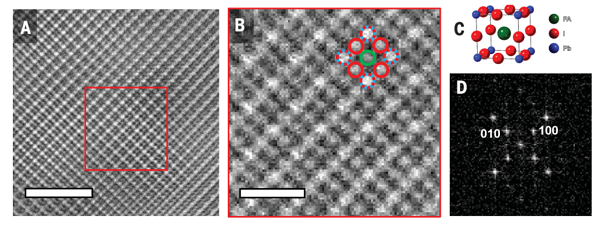 epitaxial_epitaxial_epitaxial
