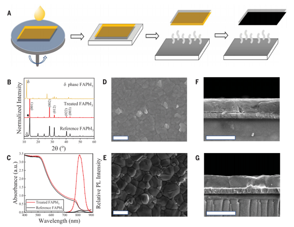 epitaxial_epitaxial_epitaxial
