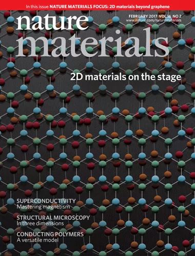 epitaxial_epitaxial_epitaxial