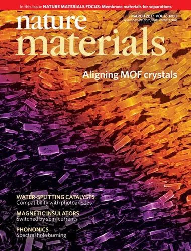 epitaxial_epitaxial_epitaxial