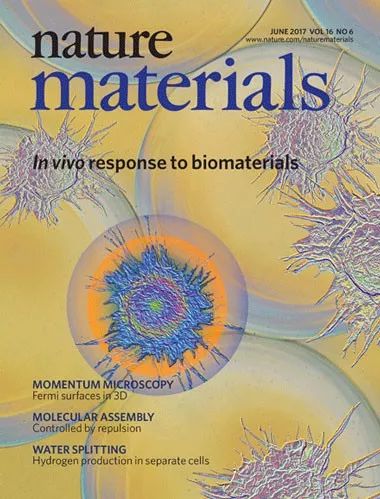epitaxial_epitaxial_epitaxial