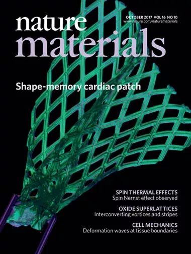 epitaxial_epitaxial_epitaxial