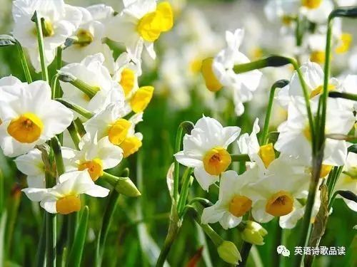 wandered_WanderedToLA_Wandered是什么意思