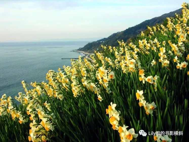wandered_wandered的意思_Wandered是什么意思