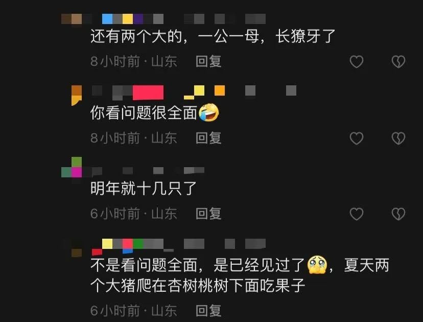 珠山小八友_小珠山_珠山小学