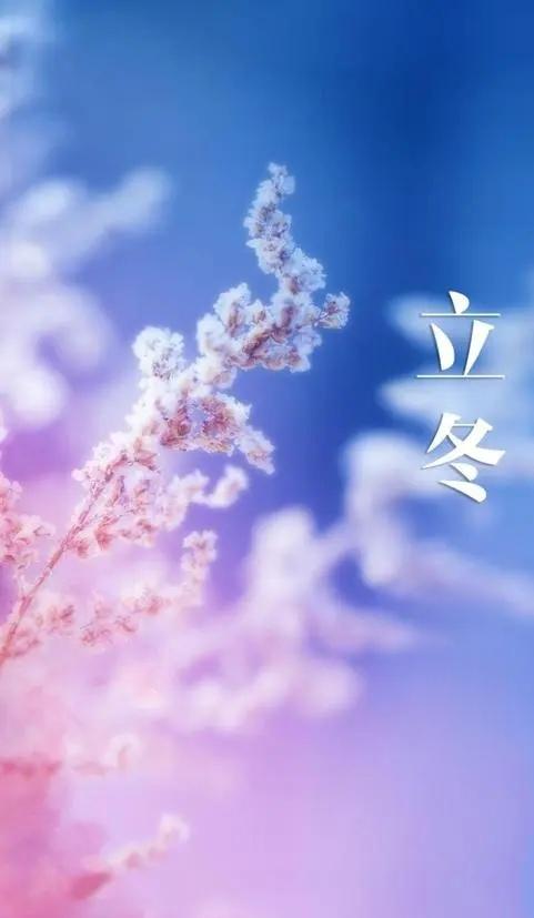 悄组词_悄_悄的拼音