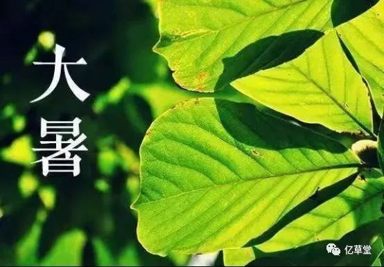 薄荷脑_相薄_薄荷糖