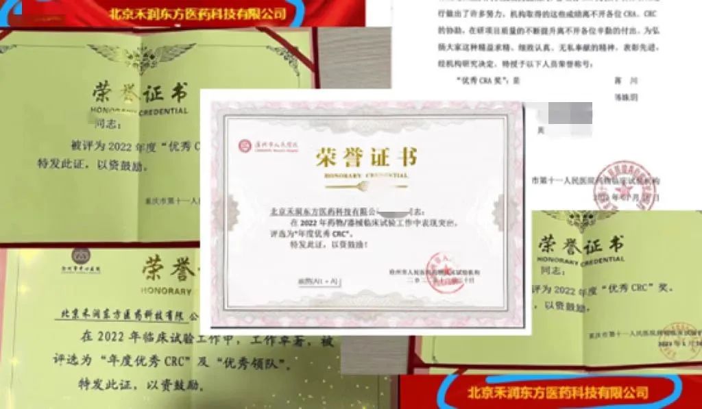 薄公英_相薄_薄荷糖