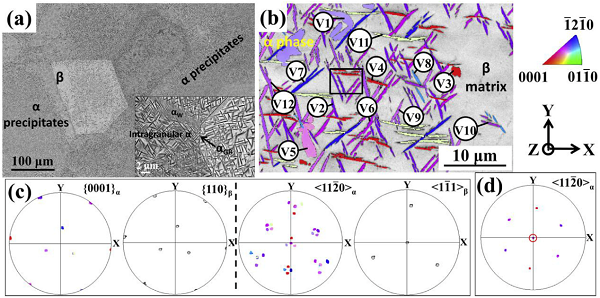 crystallographic_crystallographic_crystallographic