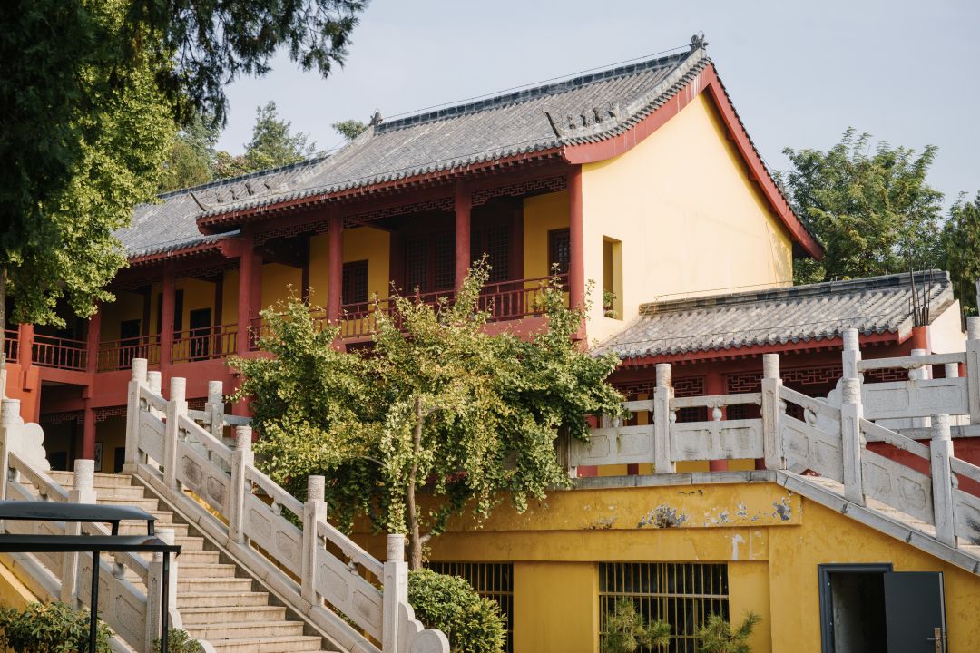 多多益善_多多益善古文翻译_多多益善的意思