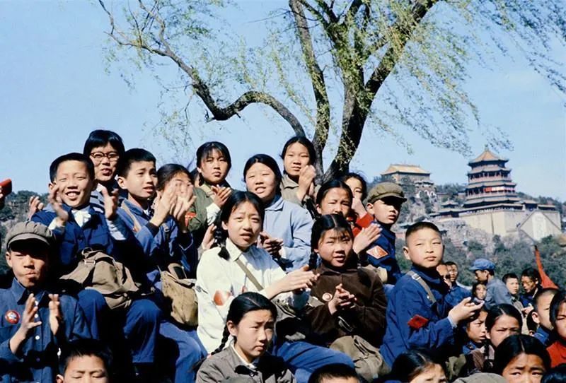 尊卑长幼_长幼尊卑_尊卑长幼有序