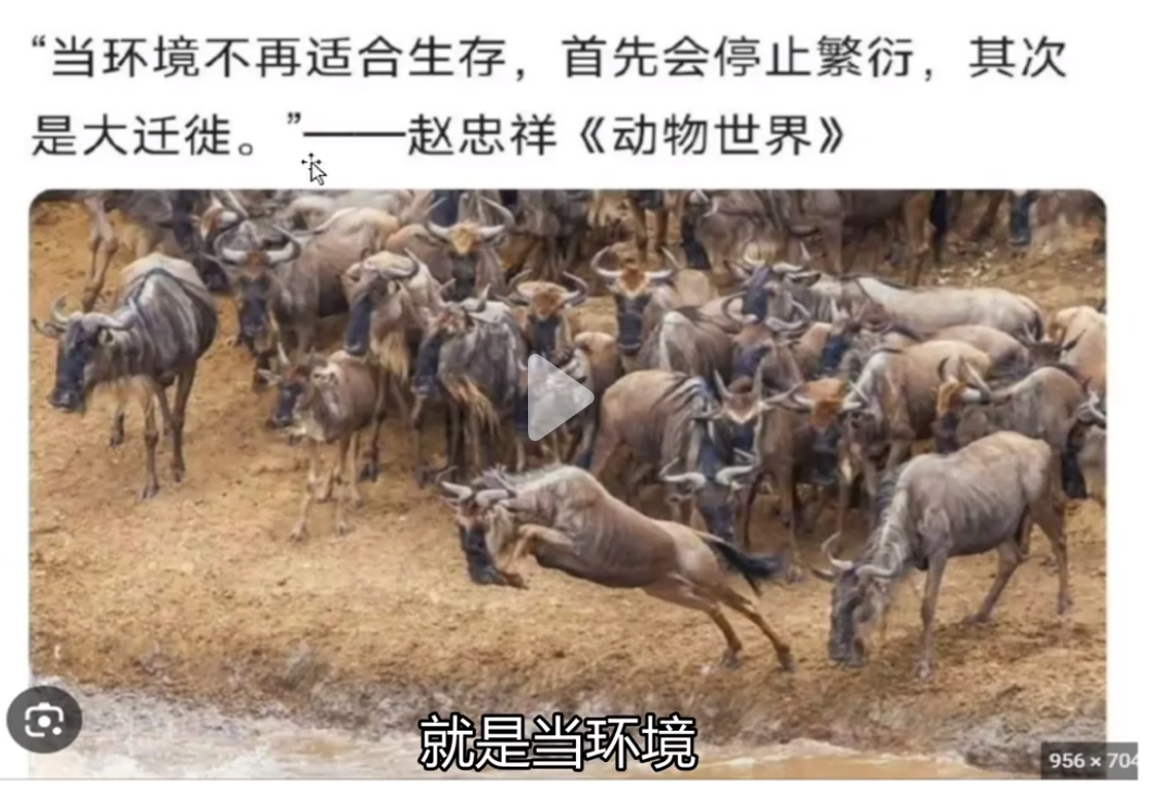 尊卑长幼_什么幼尊卑_长幼尊卑