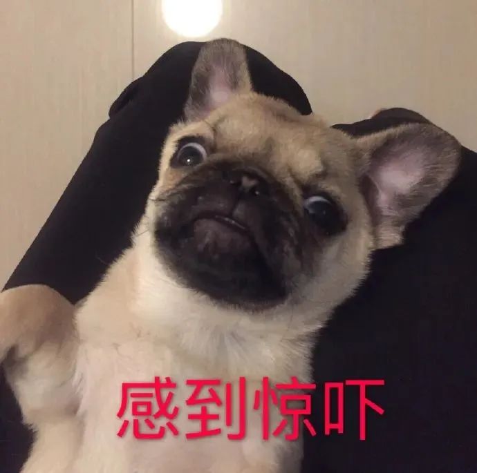 shattering_shattering翻译_shattering怎么读