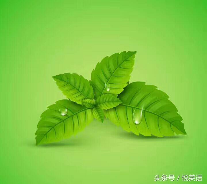 disaster什么意_Disasters期刊怎么样_disasters
