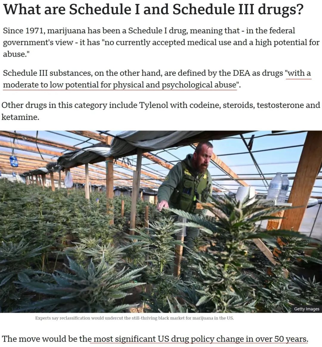 是王者啊_是你让我超越了平常的自己作文_这是