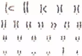 imprinton_imprint_imprint用法