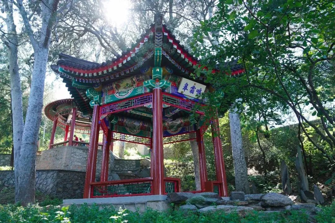 唳_唳的拼音_唳怎么读音