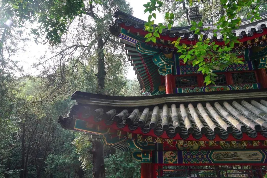 唳_唳的拼音_唳怎么读音