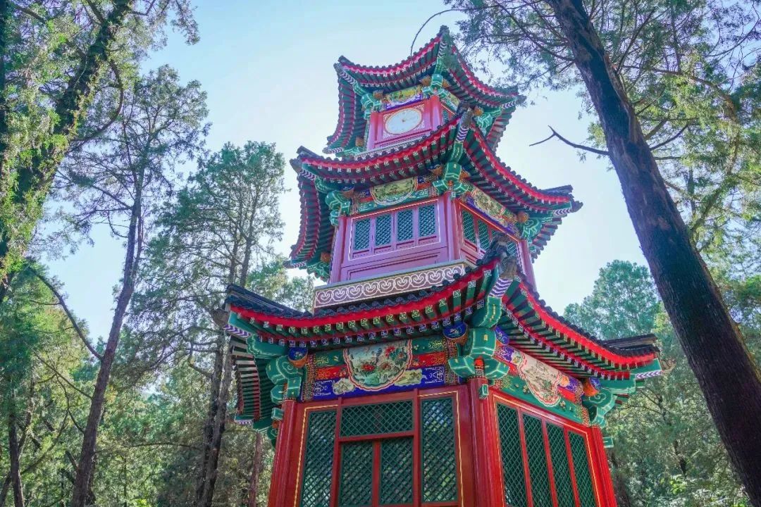 唳怎么读音_唳_唳的拼音