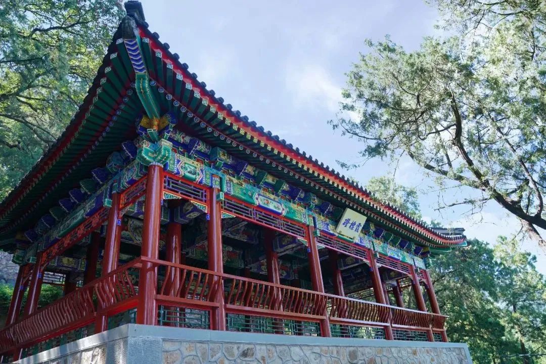 唳怎么读音_唳_唳的拼音