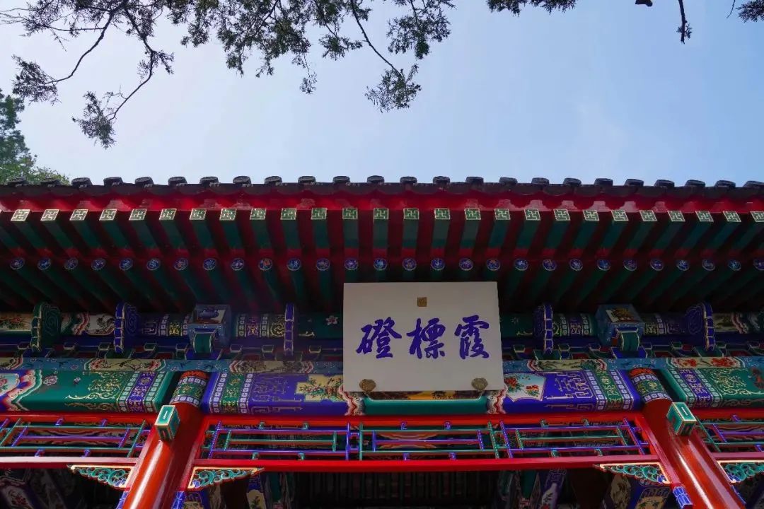 唳_唳的拼音_唳怎么读音