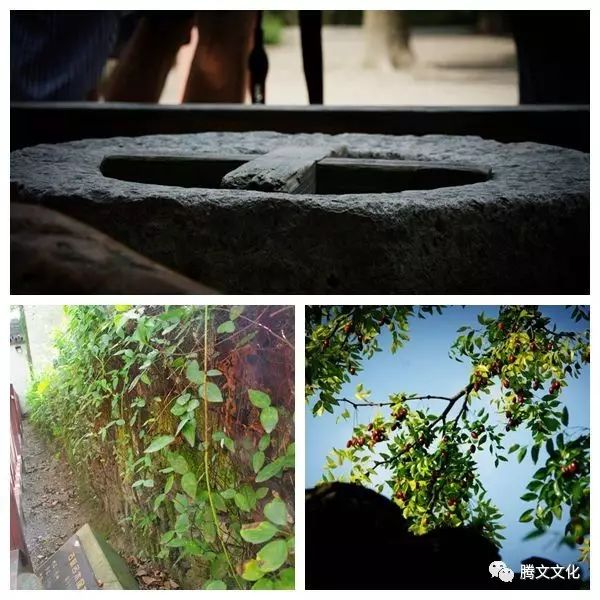 摹本中未包含主宅邸怎么办_兰亭序褚遂良摹本_摹本