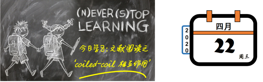 coiledspring._coiled怎么读_coiled