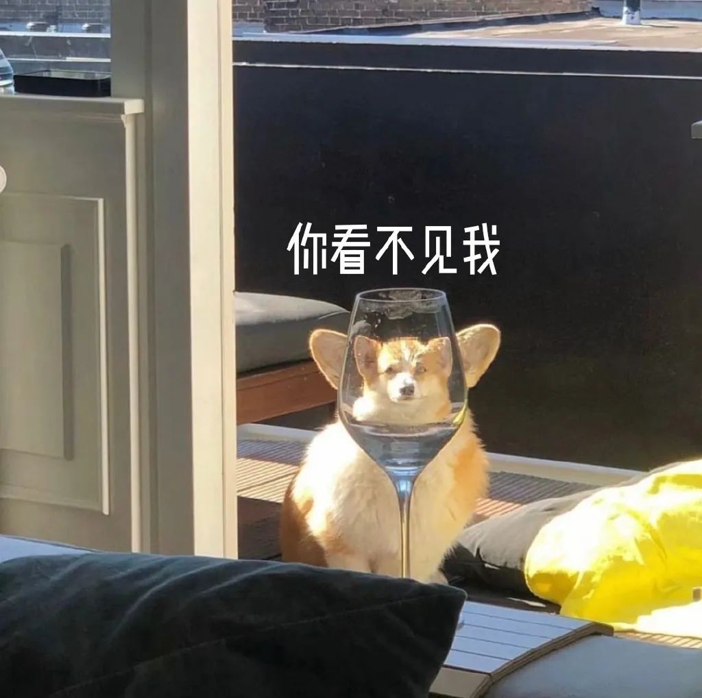 loafing翻译_loafingaround_loafing