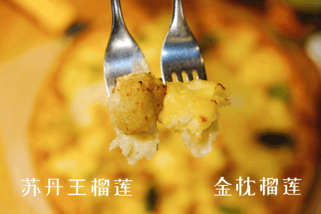 苏丹王榴莲和猫山王榴莲的区别_苏丹王_苏丹王榴莲哪里产