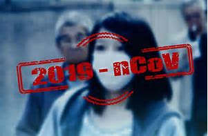 swine和pig的区别_swine是什么意思_swine