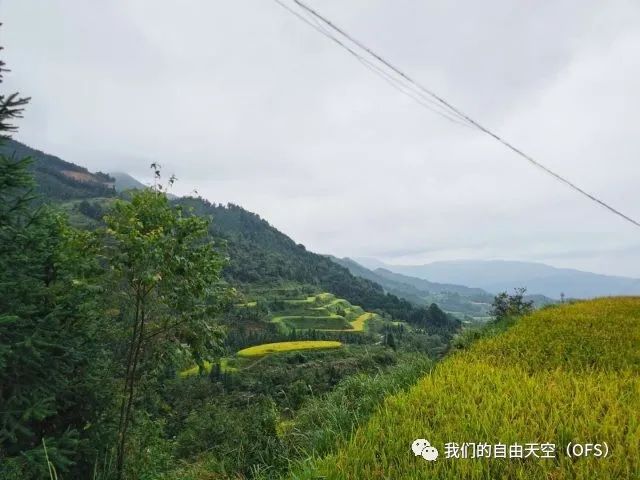 何乐而不为_乐为姓氏读什么_乐为人师