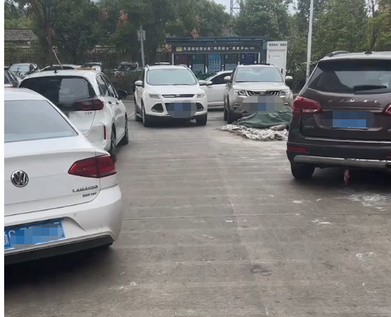 家庭乱来_乱来_穿越兽世兽王别乱来