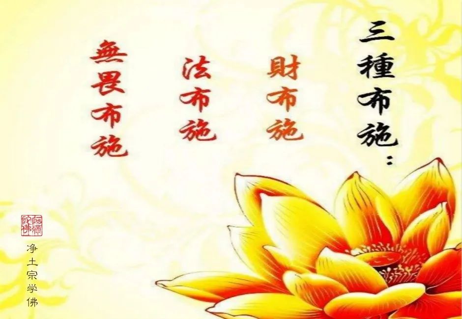 何乐而不为_乐为姓氏读什么_乐为人师