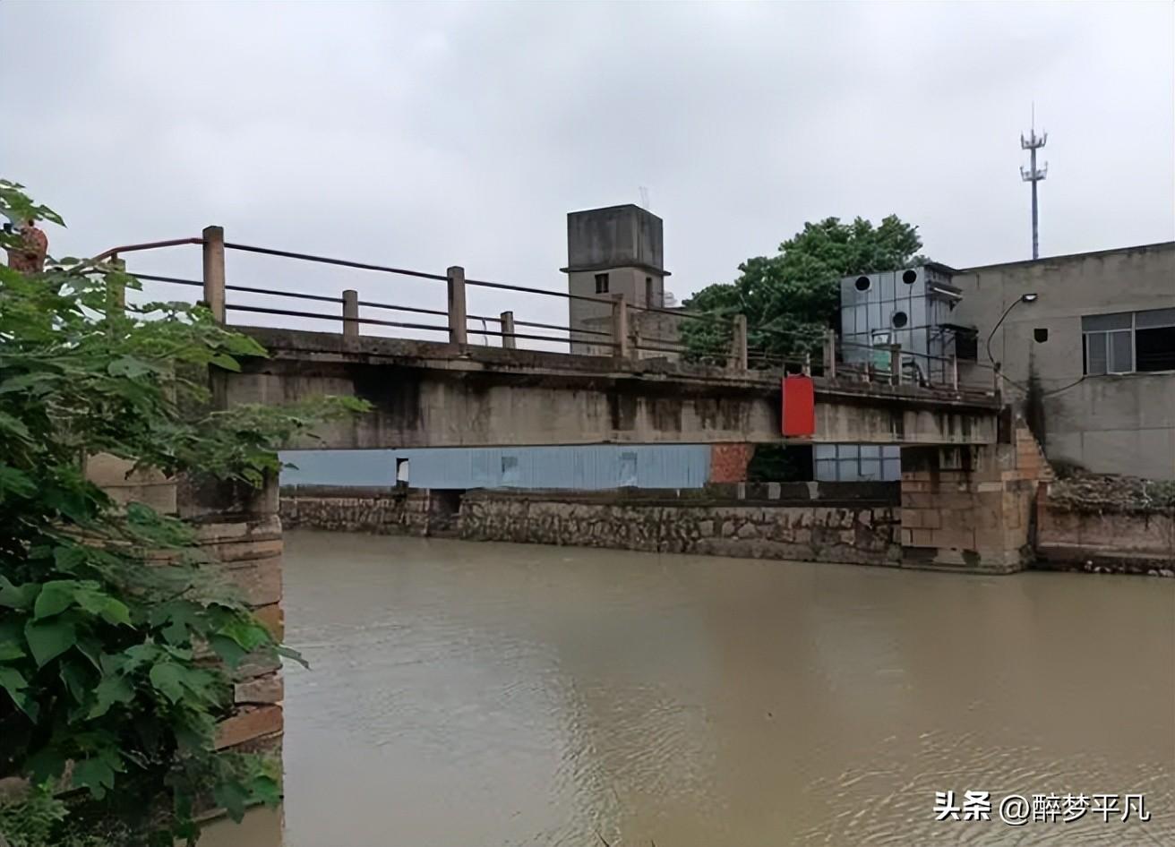 如月车站台莲实家人_莲实大长今_莲实