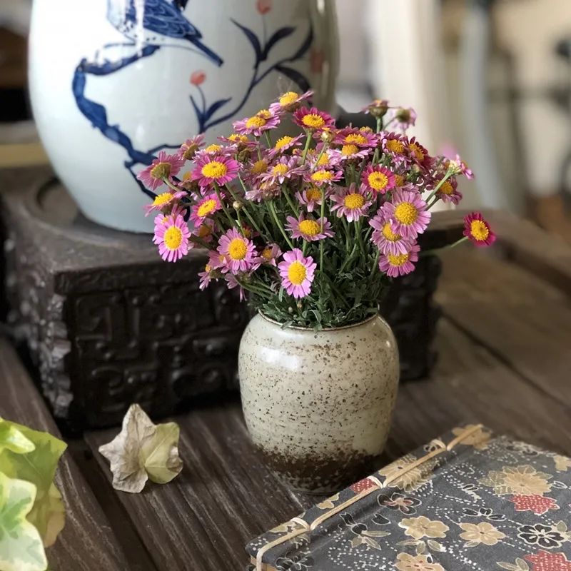 谈风月下联_只谈风月_她的偏执闲谈风月