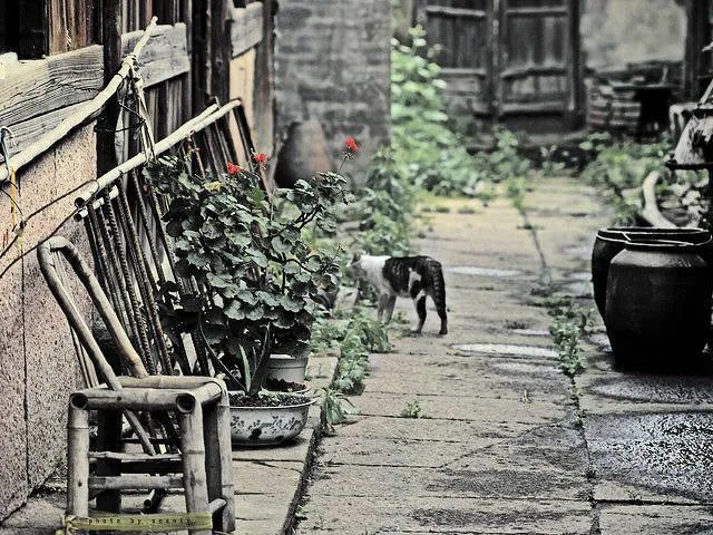 她的偏执闲谈风月_只谈风月_谈风月下联