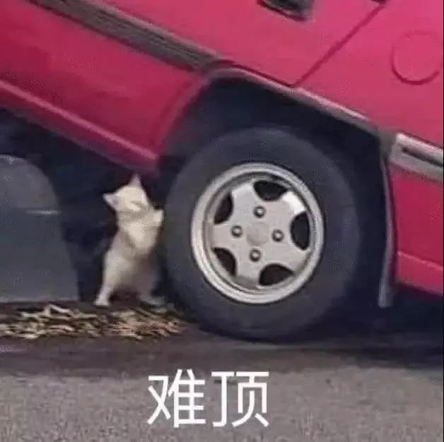 车险计算器_车险计算器在线计算_车险计算器软件下载