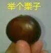 车险计算器软件下载_车险计算器_车险计算器在线计算