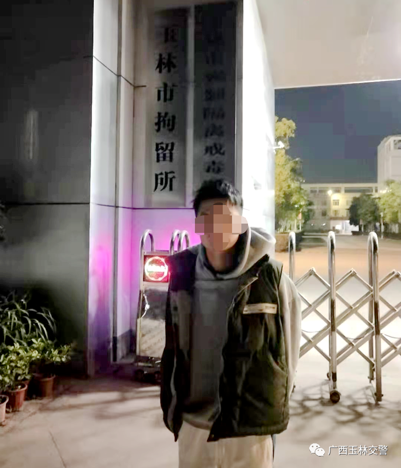 杨振林有孩子吗_振词有声_振振有词