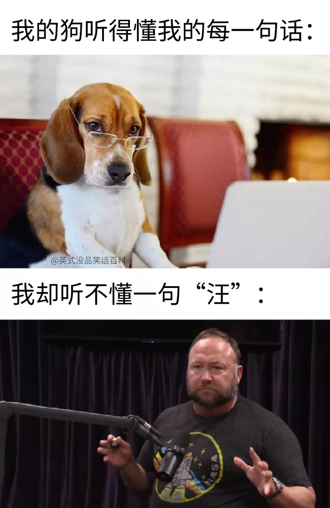 replied用英语怎么说_replied_replied怎么读