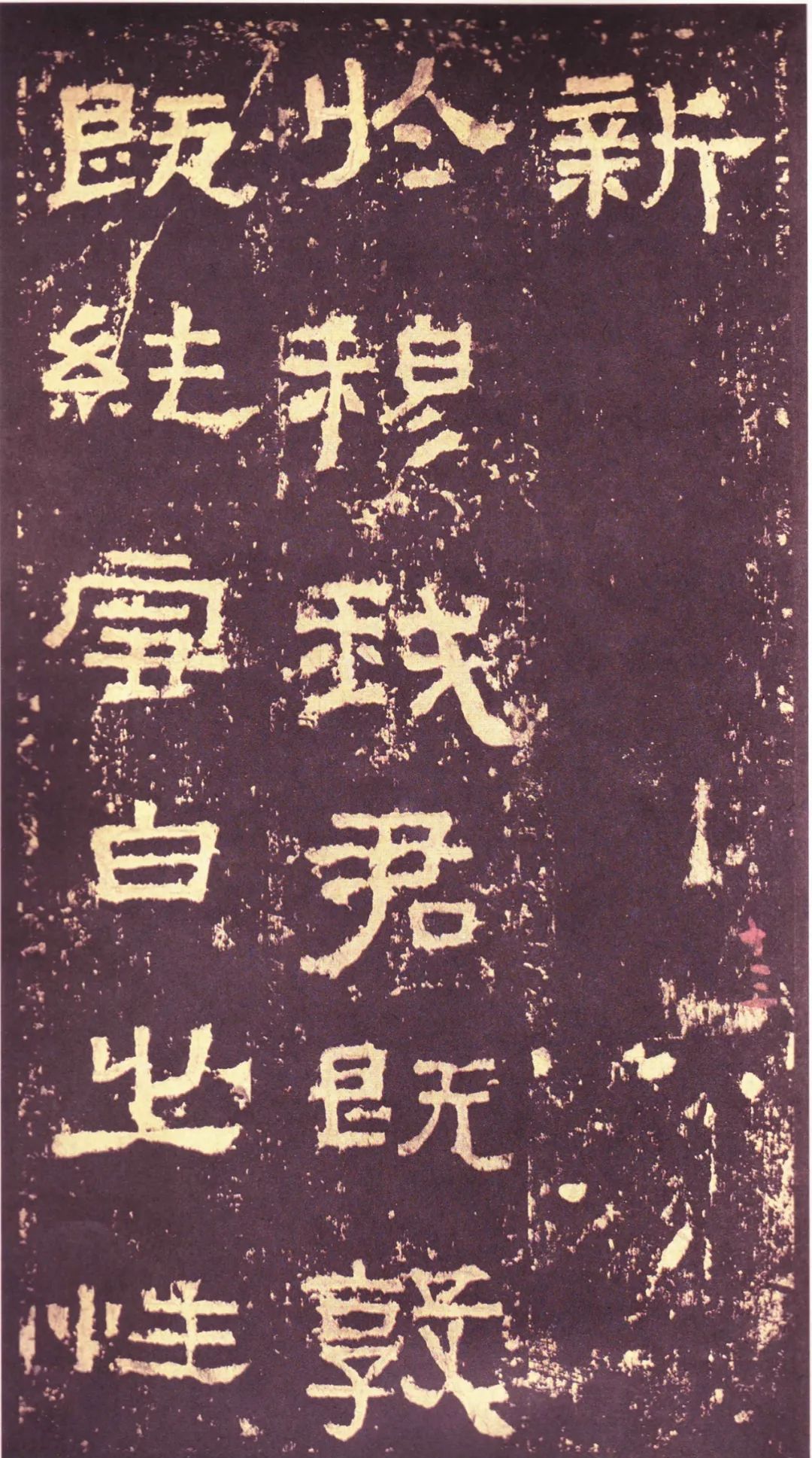 存恤_存恤_存恤