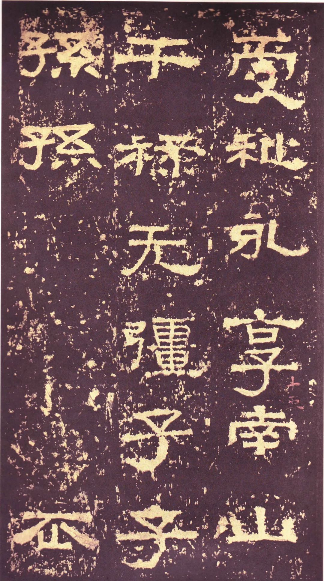 存恤_存恤_存恤