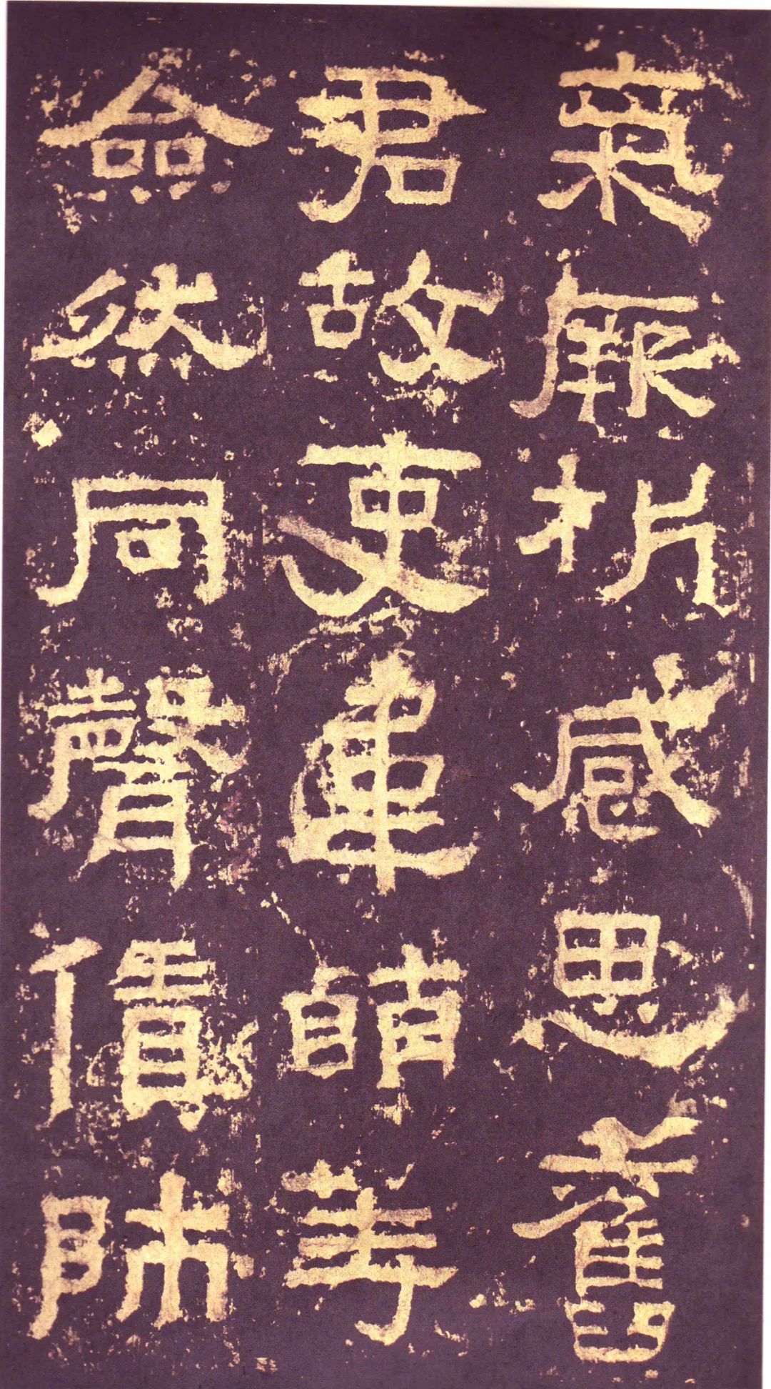 存恤_存恤_存恤